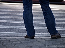 Зебростойка мэрии Екатеринбурга