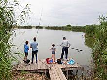 Рыбаки с котомками и червями на набережной возмутили жителей Новосибирска