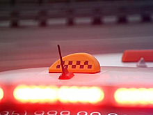 Стали известны подробности драки таксиста и женщины в Москве