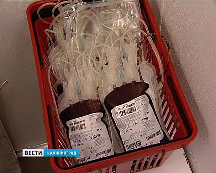 Станции переливания крови в Калининграде за 70 лет собрала 500 тонн крови