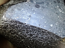 В марсианском метеорите нашли следы воды возрастом 4,5 млрд лет