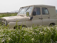 Посмотрите, как сделать из «УАЗика» газонокосилку