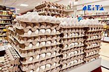 Импорт яиц не спасет от роста цен, считает эксперт
