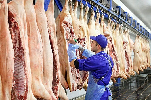 В России свинина подешевела на 2% - Минсельхоз