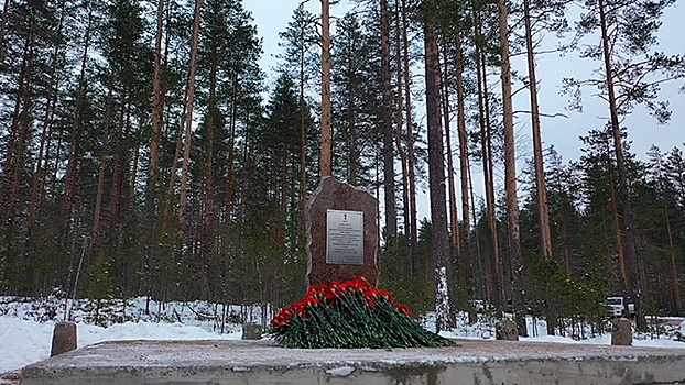 Свидетельство подвига: поисковики обнаружили останки героя советско-финской войны