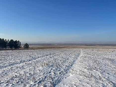 Небольшой снег пройдёт завтра в Забайкалье