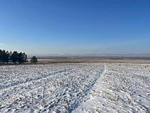 Небольшой снег пройдёт завтра в Забайкалье