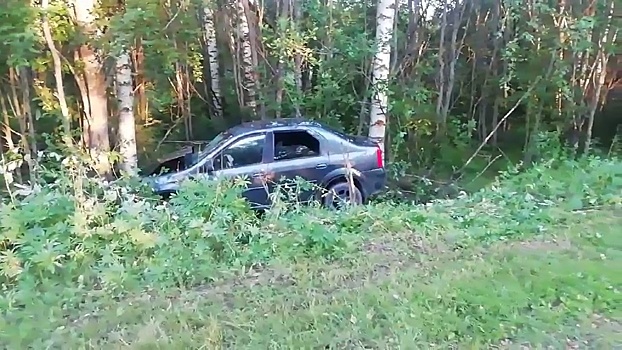 Водитель и пассажир получили травмы в улетевшей в кювет иномарке в Ветлужском районе