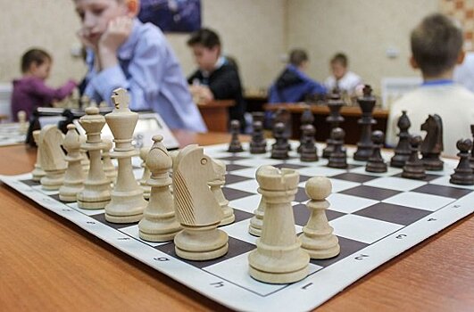 В 19 регионах России шахматы станут обязательным предметом для первоклассников