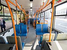 Буйный пассажир троллейбуса ругался матом и распивал алкоголь на Васильевском острове