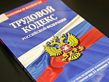 Комитет ГД поддержал запрет второго гражданства для чиновников