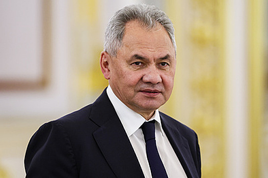 Шойгу заявил о перспективности сотрудничества России с Оманом и Египтом