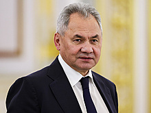 Шойгу заявил о перспективности сотрудничества России с Оманом и Египтом