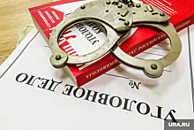 МВД объявило в розыск блогера Александра Шпака