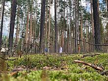 Тверская область поддержит десятки новых проектов в сфере туризма