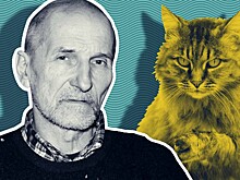 Претензии были даже из монастырей. Зоозащитников затравили за желание спасти животных Мамонова