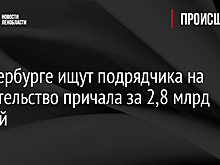 В Петербурге ищут подрядчика на строительство причала за 2,8 млрд рублей