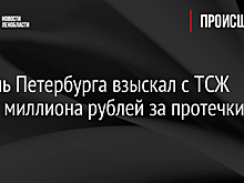 Житель Петербурга взыскал с ТСЖ более миллиона рублей за протечки