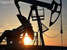 Мексиканская Pemex в 2018 году снизила добычу нефти почти на 7%