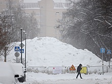 Тишковец: К концу недели в Москве ожидается плюсовая температура