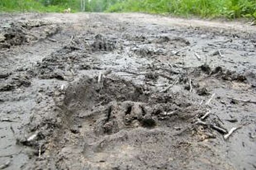 На рязанском бездорожье застряла машина скорой помощи с пациентом