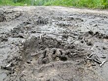 На рязанском бездорожье застряла машина скорой помощи с пациентом