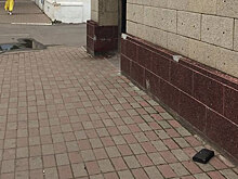 Памятник потерянному кошельку появился в Ярославле