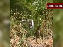 Двое россиян находились в автобусе, слетевшем с горы в Таиланде