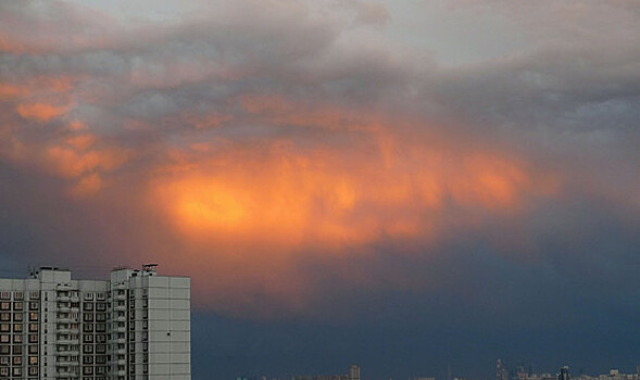 Смертельный ураган в Москве: девочку задавило павильоном для мусора