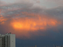 Смертельный ураган в Москве: девочку задавило павильоном для мусора