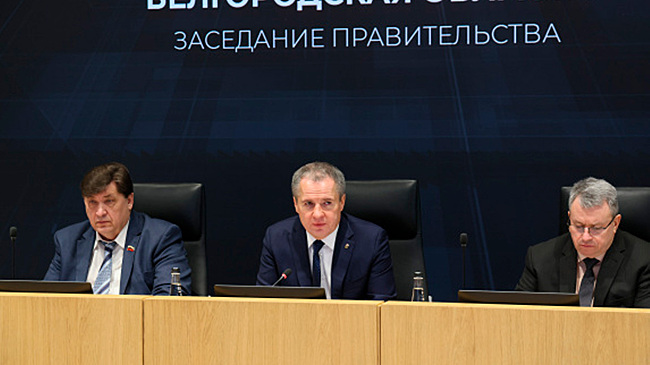 Губернатор Вячеслав Гладков: Необходимо повышать информированность семей о новой мере поддержки — предоставлении предметов первой необходимости для новорожденных