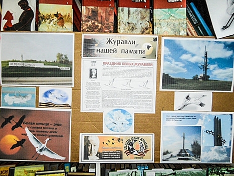 Выставку ко Дню белых журавлей открыли в городском округе Щербинка