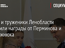 Герои и труженики Ленобласти получили награды от Перминова и Присяжнюка