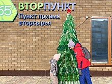 Где находятся самые необычные елки в России