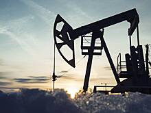 Страна БРИКС собралась нарастить импорт российской нефти