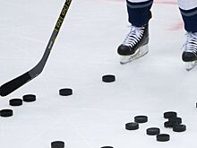 Ледовый дворец «Умка» в Ховрино капитально отремонтируют