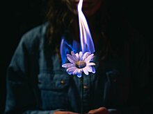 Первый в России «Фестиваль магии» состоялся в подмосковном Орехово-Зуево