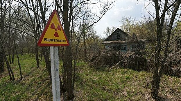На Украине у двух мужчин нашли 40 килограммов опасных "даров природы"