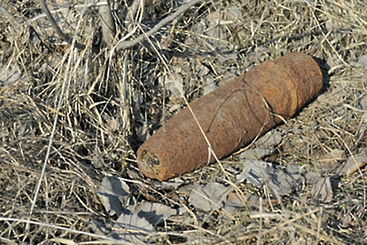 Два снаряда времен ВОВ нашли в Волоколамском округе