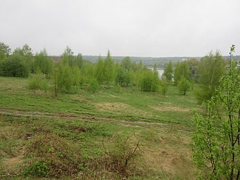 Возле Внуково построят физкультурно-оздоровительный комплекс