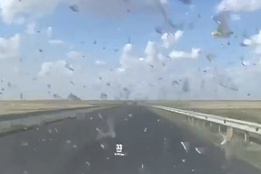 В Дагестане попало на видео облако саранчи, атаковавшее авто