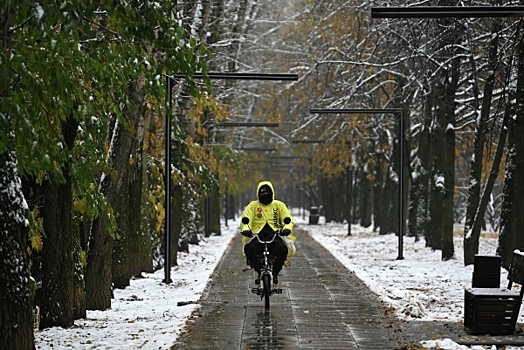 Глава СПЧ призвал запретить курьерскому транспорту ездить по тротуарам