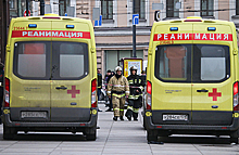 Следы взрыва в Петербурге ведут к «Аль-Каиде»