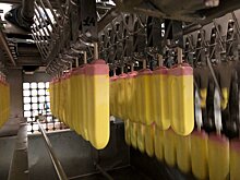 Подмосковье перевыполнило план по экспорту продукции АПК в 2019 году
