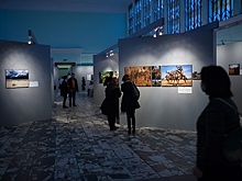 Фотографии национальных парков Ирландии можно увидеть в Биологическом музее Москвы