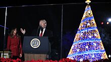 Трамп впервые на посту президента зажег огни на главной рождественской елке в США