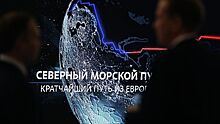 Грузопоток Севморпути в 2019 году вырастет до 29-30 млн тонн