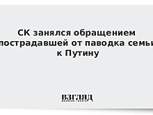СК начал проверку после ремонта моста жителями Серова