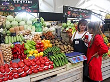 В России могут разрешить тратить средства маткапитала на фермерское хозяйство