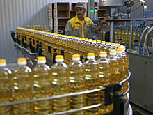 Кубань планирует в 2020 году экспортировать сельхозпродукции на $2,5 млрд